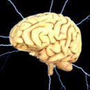 Учёные выяснили, как сон влияет на производительность человека Учёные выяснили, как сон влияет на производительность человека