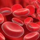 Изобретено лекарство, блокирующее развитие сепсиса Изобретено лекарство, блокирующее развитие сепсиса